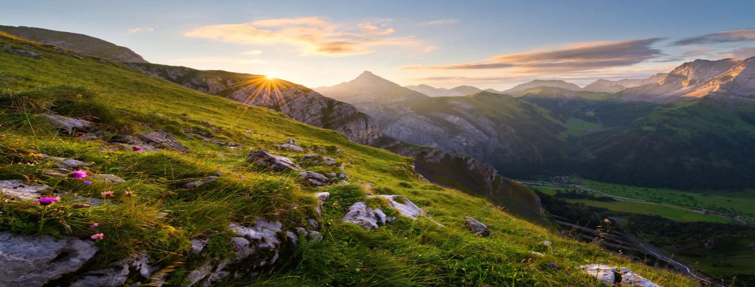 Image for Picturesque Landscape